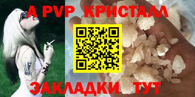 СК Новодвинск