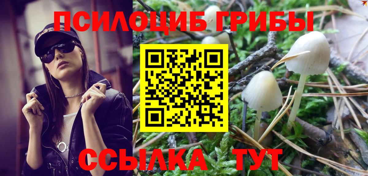 Псилоцибиновые грибы ЛСД Урус-Мартан