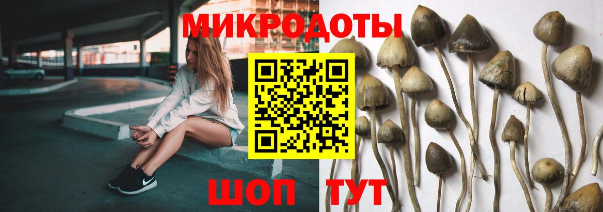 Урус-Мартан  Псилоцибиновые грибы прущие грибы  Вход с VPN 